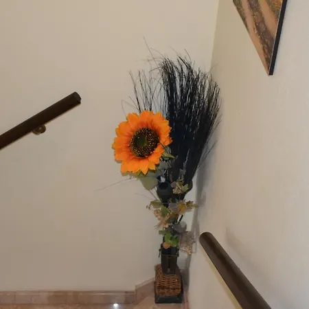 Il Girasole Alojamento de Acomodação e Pequeno-almoço *
