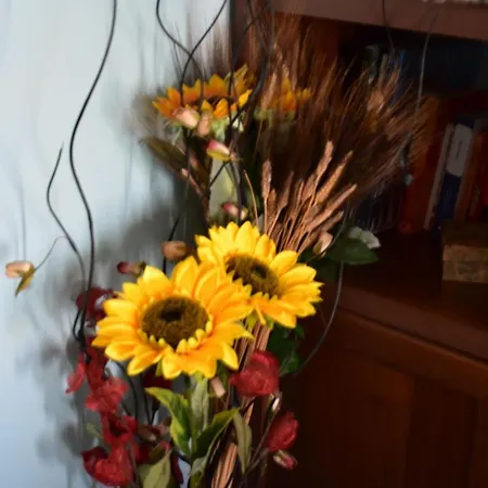 Il Girasole فندق مبيت وإفطار