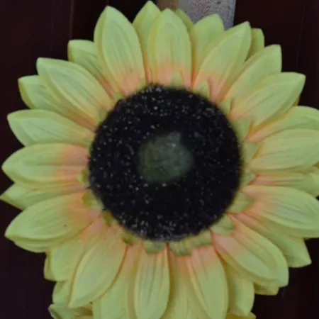 Il Girasole Alojamento de Acomodação e Pequeno-almoço