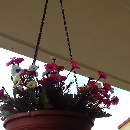 Il Girasole Bed & Breakfast 3*