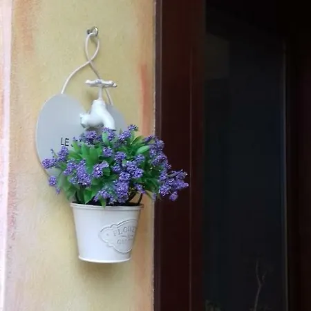 Alojamento de Acomodação e Pequeno-almoço Il Girasole Assemini