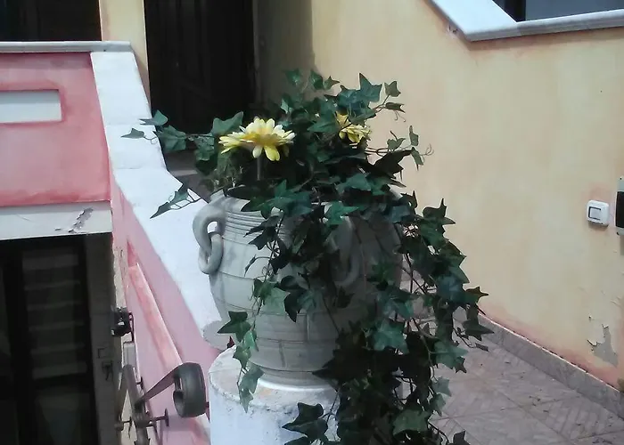 Il Girasole 阿塞米尼