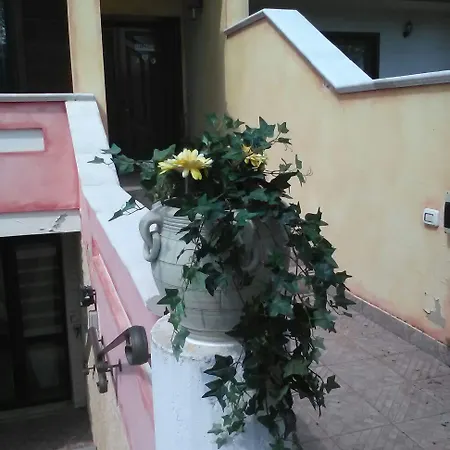 Il Girasole Assemini