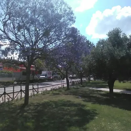 Il Girasole B&B 아세미니