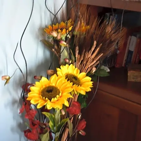 Alojamento de Acomodação e Pequeno-almoço Il Girasole 3*