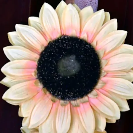 Il Girasole 3*