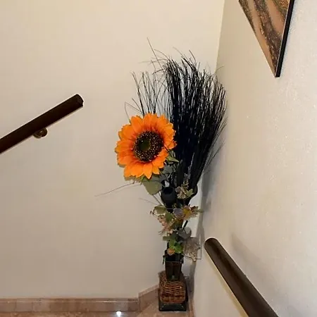 Alojamento de Acomodação e Pequeno-almoço Il Girasole 3*