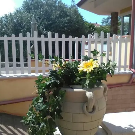 Il Girasole