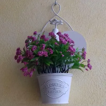 Il Girasole
