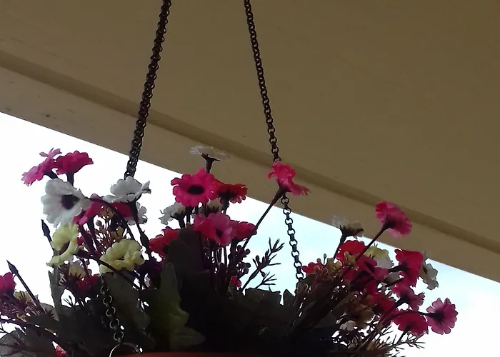 Il Girasole Panzió 3*